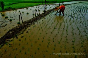 Litrato ni James Singlador. 