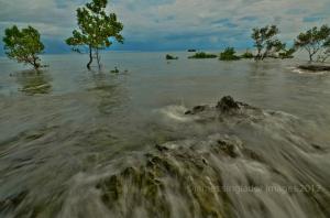 Litrato ni James Singlador.