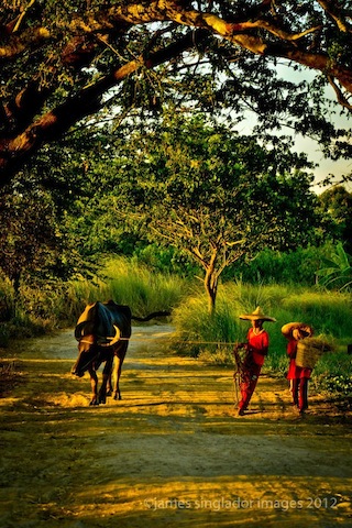 Litrato ni James Singlador