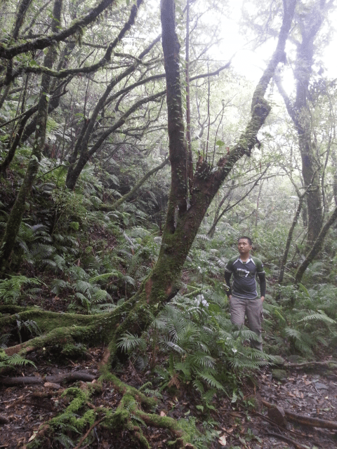 Sa trail kang Mt. Cristobal
