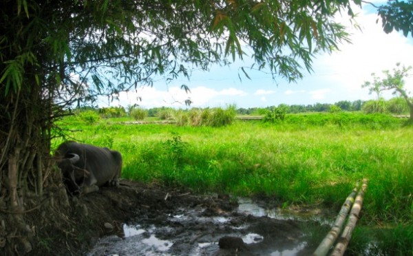 Sa Uma (Villar, Sibalom, Antique) Litrato kang Tagsulat