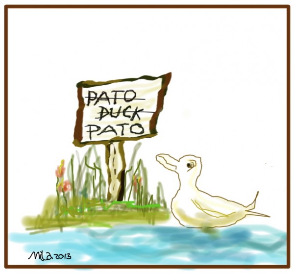 Pato2