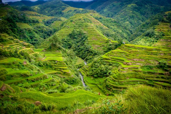 Banaue Rice Terraces / JC Fonte
