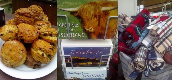 Scones, Highland Cow, Tartan Scarf