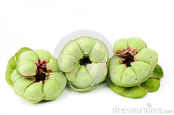 dreamstime.com via Google
