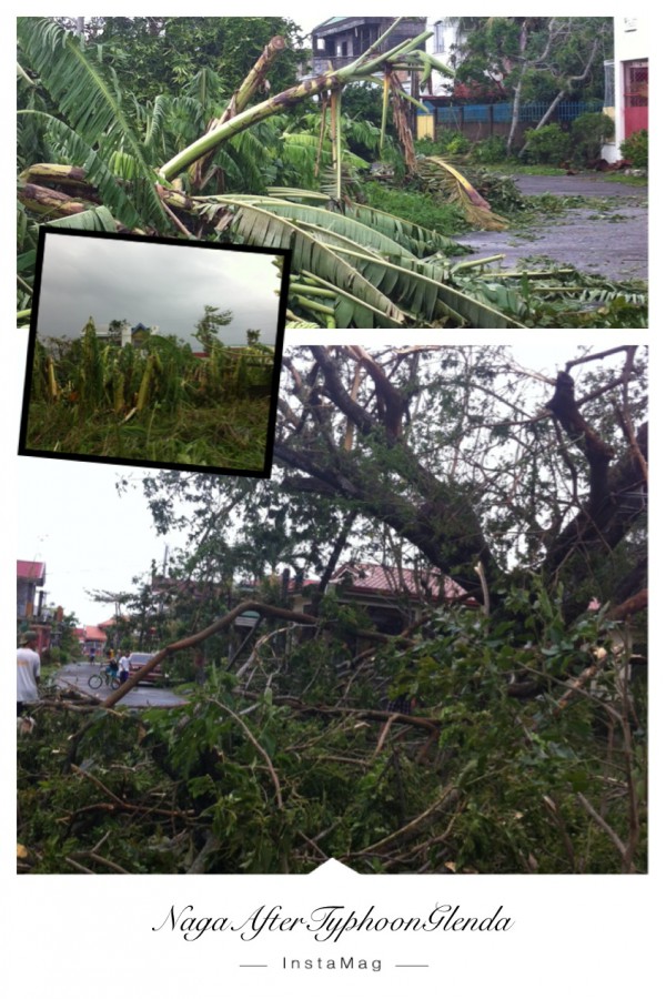 iPhone4S /Pangga Gen 