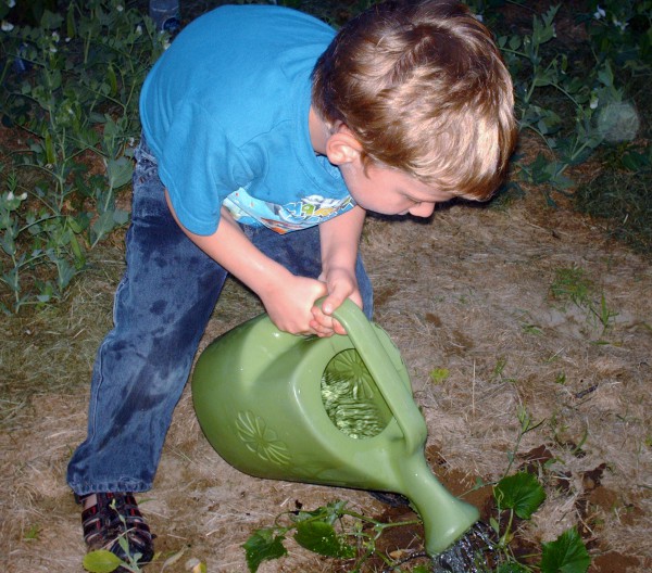 Si Wyatt gabulig kanakun sa pagtatap kang hardin. 