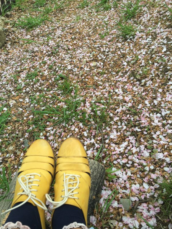 Sa idalum kang mga puno kang sakura sa Kobe, Japan. Abril 2016. Litrato ni Pangga Gen.